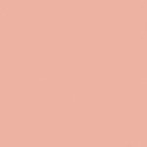 SANDERSON PAINT FRENCH ROSE  93